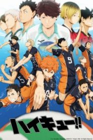 Vua Bóng Chuyền Haikyuu (Phần 1)