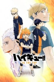 Vua Bóng Chuyền Haikyuu (Phần 4)