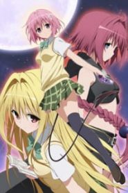 To LOVE-Ru Darkness (Phần 3)